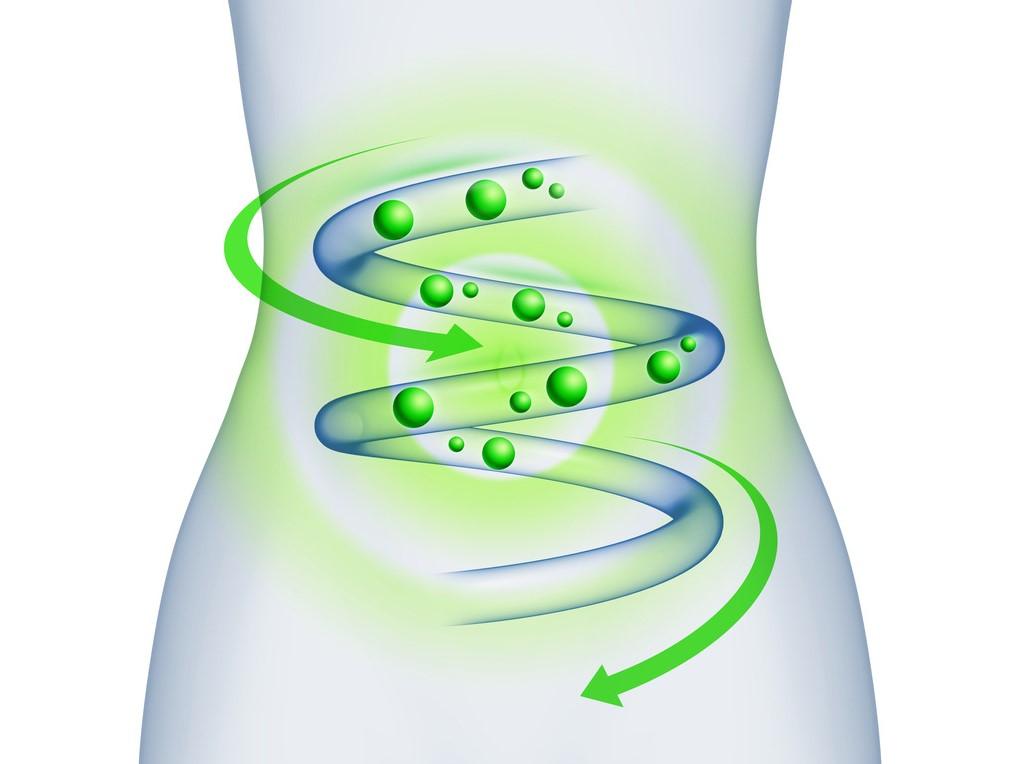 2020肠道健康产品益生菌益生元应用市场分析