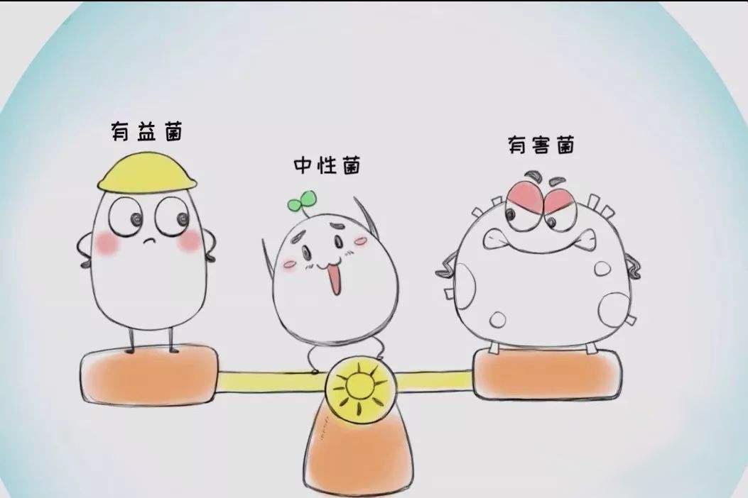 你知道益生菌要吃多久才有效吗？