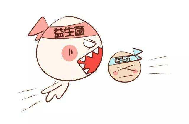 哪些食物中富含益生元