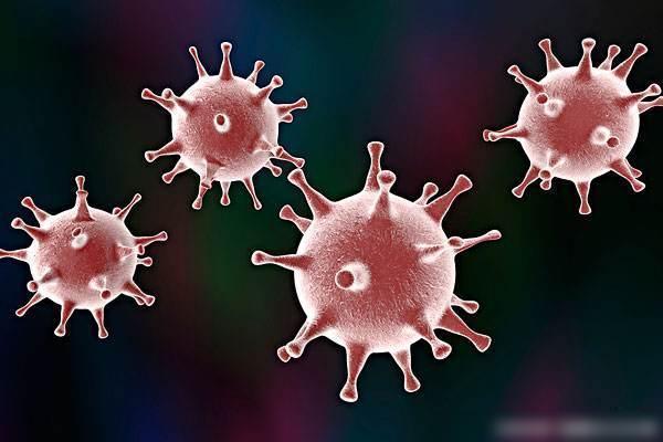 中国营养保健食品协会系列科普（一）：如何提高机体免疫力